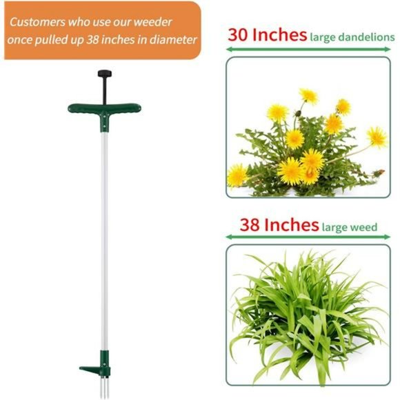 Stand Up Weeder and Weed Remover Tool with 3 Claws, Stainless Steel - Picture 3 of 6